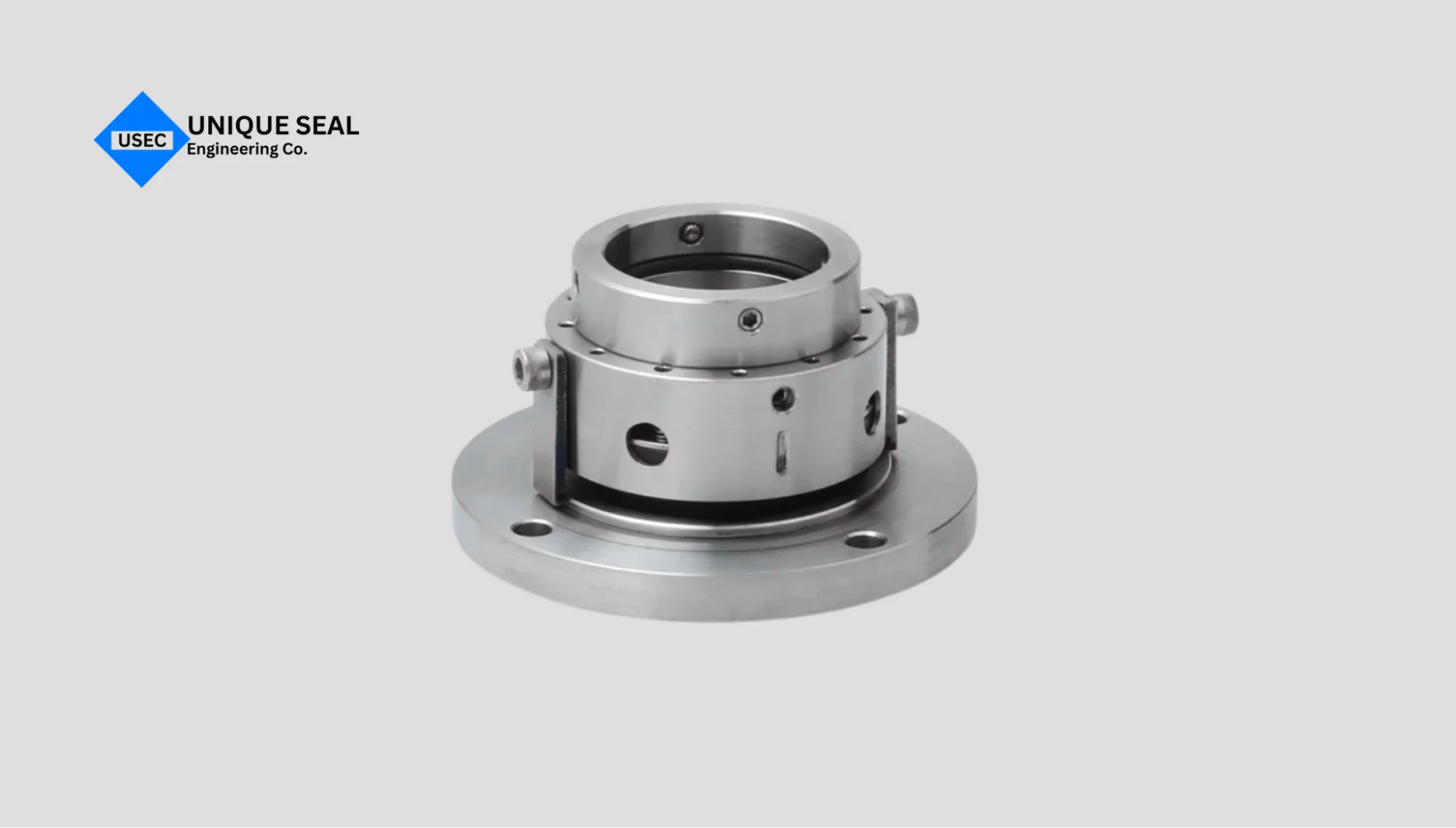 Dry gas mechanical seal type used in compressors.